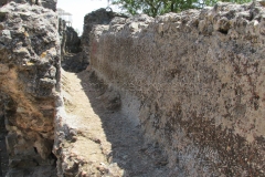 Channel leading into the filtration basin of the Proserpina Aqueduct.
