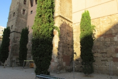 Towers and section of the wall off Placita de la Seu.
