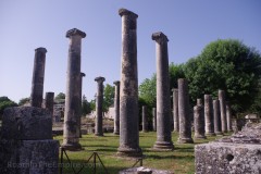 Civic basilica at Saepinum.