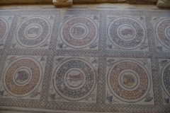 Detail of the mosaic flooring in the quadrangular peristyle.