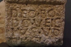 IMGP7607