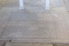 Western portion of the frigidarium patio.