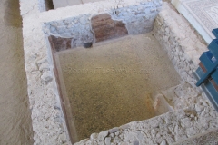 Frigidarium pool.