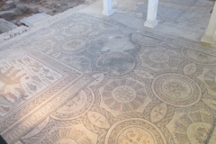Eastern frigidarium mosaic.