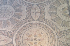 Detail of the geometric portion of the eastern frigidarium mosaic.