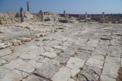 Paving in the north area of the forum.