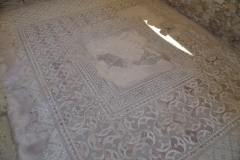 Mosaic of Thetis bathing Achilles in the River Styx from the House of Achilles.