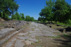 Cardo maximus leading from the area of the south gate.