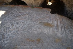 Mosaic in the caldarium area of the baths.