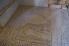 Mosaic in a cubiculum off the southern atrium/peristyle of the Casa Romana.
