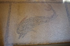 Mosaic of a dolphin in a cubiculum off the southern atrium/peristyle of the Casa Romana.
