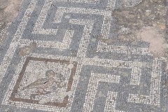 Detail of the mosaic from the public building south of the Sanctuary of Aphrodite.