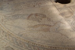 Detail of the hunting mosaic in the frigidarium of the domus bathing comlex.