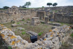 Macellum of Nora (Sardinia).