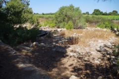 House of the Amphorae.