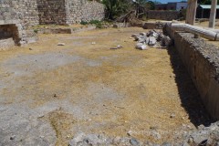Natatio in the gymnasium at Kos.