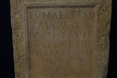 Altar dedicated to Luna and Isis Augusta by Trophimio, freedman of Gaius Octavius Pedonis.  Found at Manduel and displayed in the Musée de la Romanité.