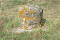 Column base in the forum.