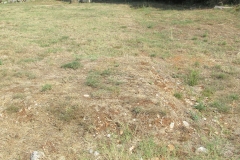 Eastern area of the forum.