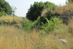 Pre-Roman gate.