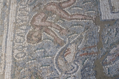 Detail of the fishing scenes border of the mosaic from the south pastophorion  of Basilica A.