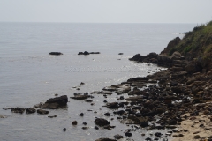Grecale Wall.