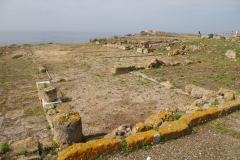 Civic buildings on the west side of the forum.