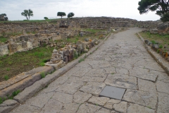 Road leading along the south side of the macellum.