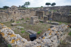 Area of the macellum.