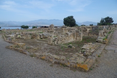 Insula containing the macellum.