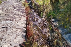 Water channel between the fountain houses of the Fonte di Abbarghente o Su Mudeju.