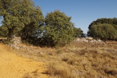 Eastern wall of Lager IV.