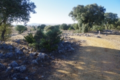 Eastern wall of Lager III south of the porta decumana.