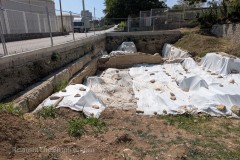 Excavations in the eastern section of the western necropolis.
