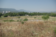 View of the site from the theater.