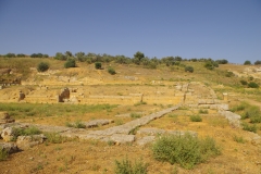 Palaestra/gymnasium.