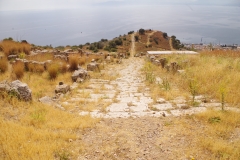 Decumanus maximus.