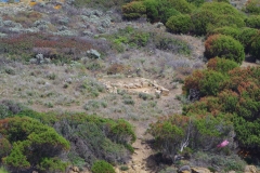 Tophet sanctuary on Isola di Cardolinu.