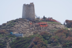 Excavations associated with Bithia near the Torre di Chia.
