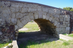 IMGP5013