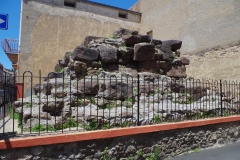 IMGP5229