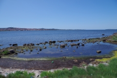 IMGP5243