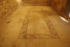 Mosaic in the tablinum of House B.