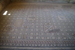 Mosaic in the Maison aux Animaux Sauvages.