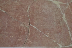 Graffiti depicting gladiators from the Maison à la Figure. Displayed in the Musée Archéologique Théo Desplans.