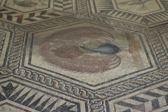 Detail of the mosaic from the Maison du Paon. Displayed in the Musée Archéologique Théo Desplans.