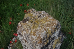 Detail of the top of the Bourne de Tavernoure.