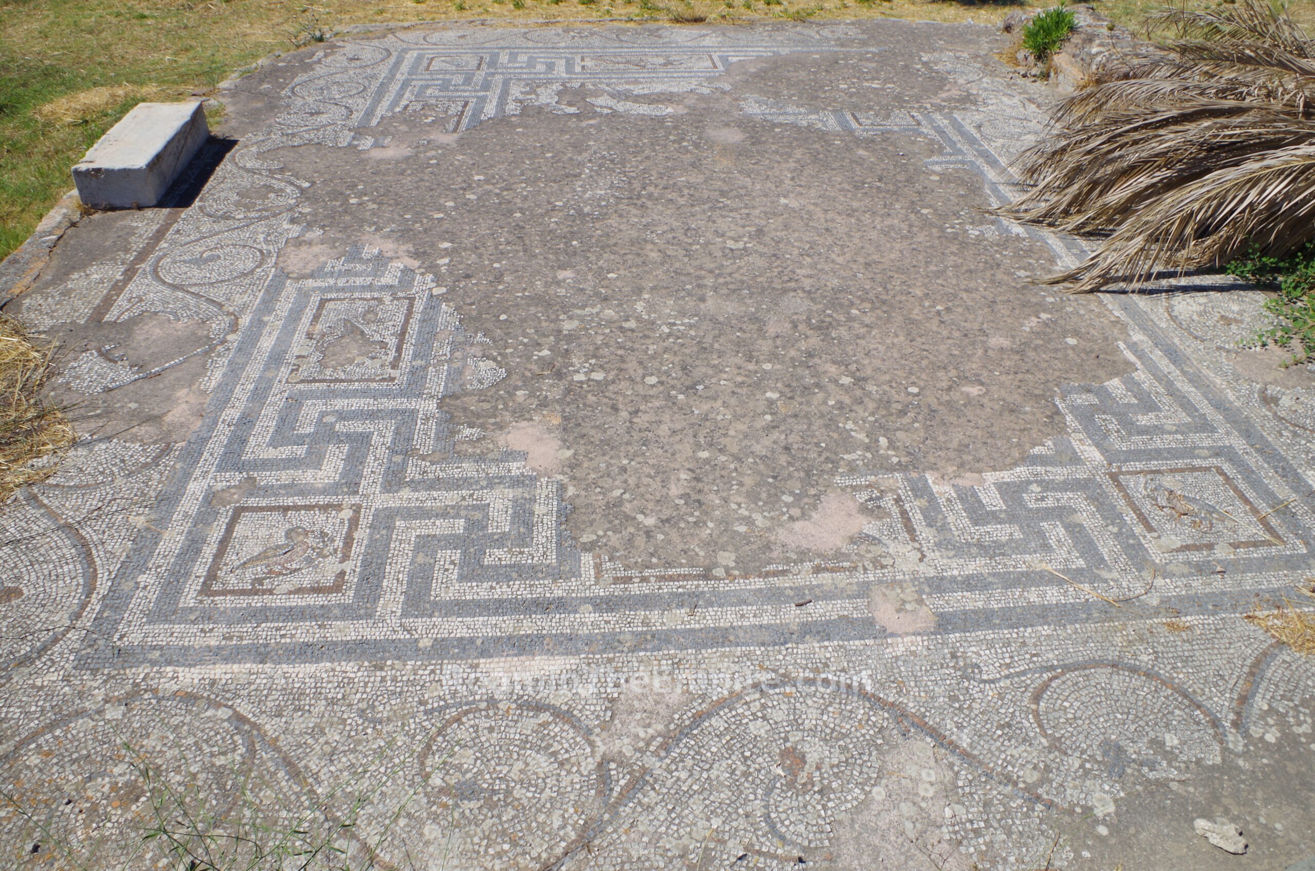 Mosaic from the public building south of the Sanctuary of Aphrodite.