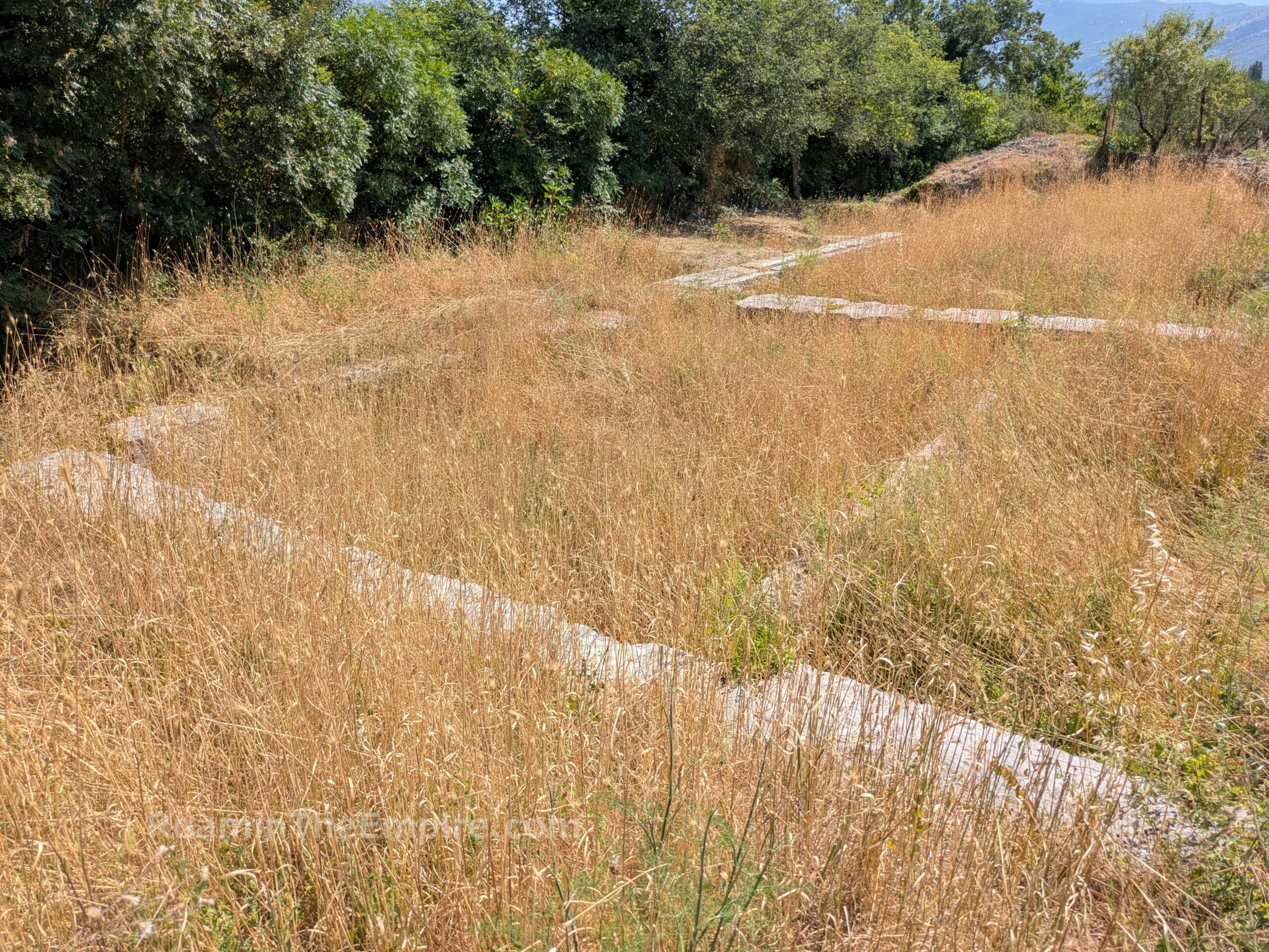Remnants of the portico in the north part of the forum.