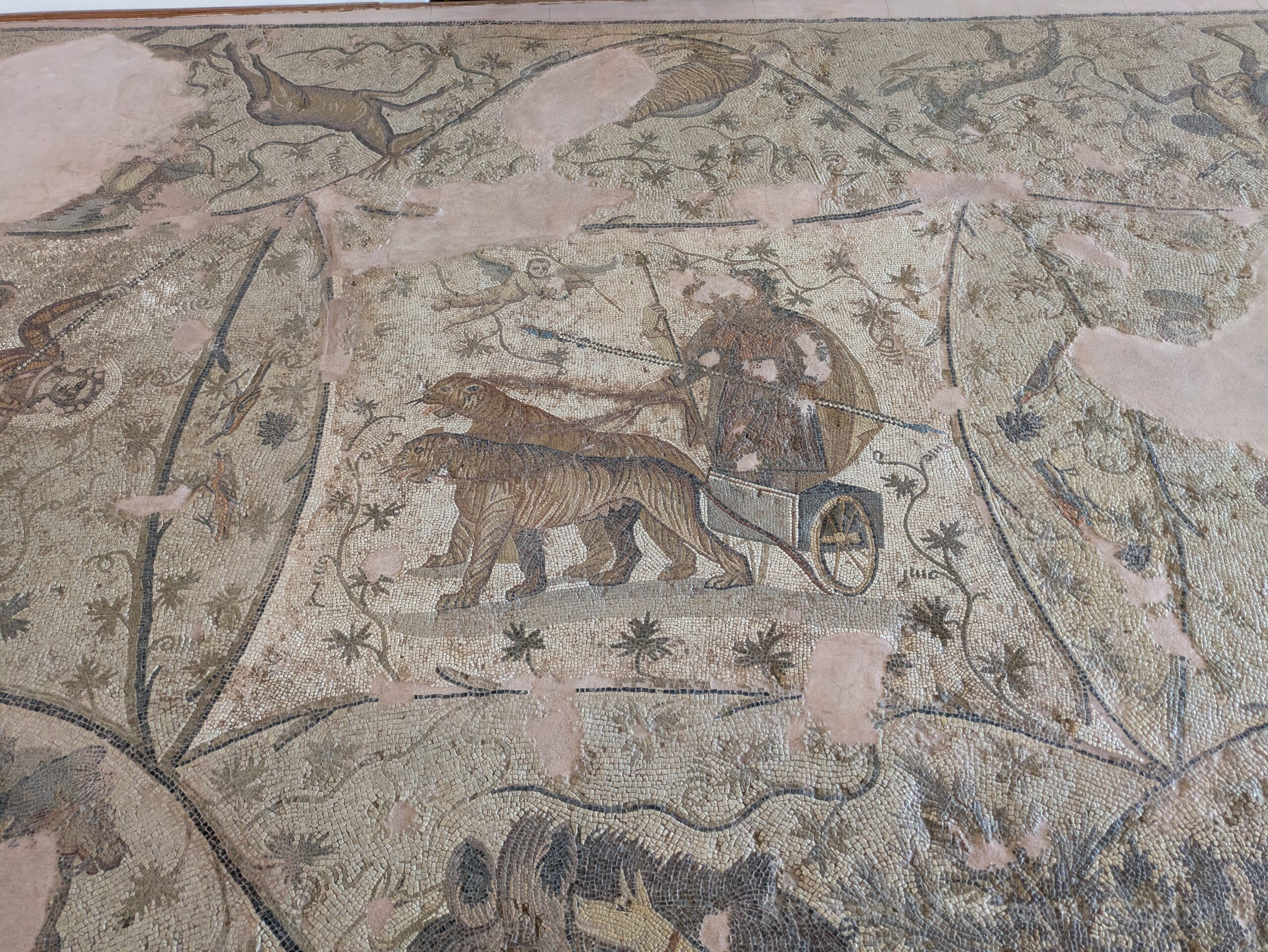 Detail from the central panel of the mosaic depicting the triumph of Dionysus. Found locally and dated to the late 2nd or early 3rd century CE. Archaeological Museum of Kissamos.